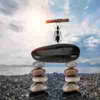 智﻿能​加​速‍器﻿